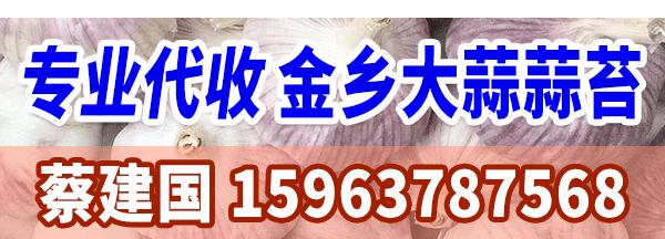 蔡建國-600-200-市場報道內(nèi)容頁